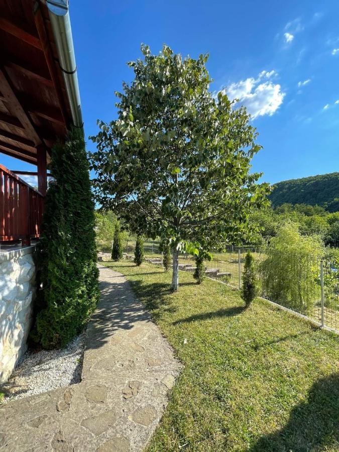 Cabana Vladimir Cucuceni Exterior foto