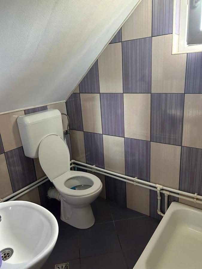 Cabana Vladimir Cucuceni Exterior foto